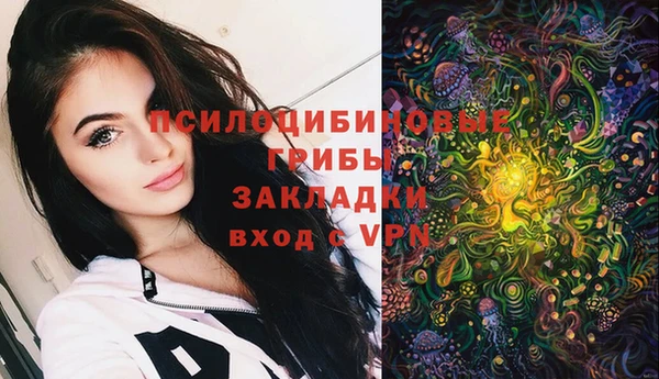 2c-b Лиски