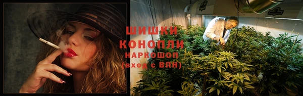 дмт Лихославль